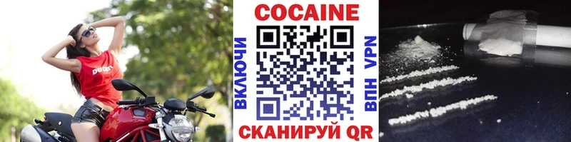 где продают   Нестеров  COCAIN 99% 