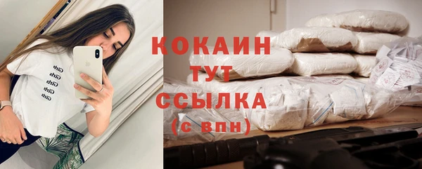 прущие грибы Бугульма