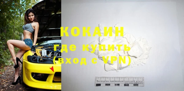 прущие грибы Бугульма