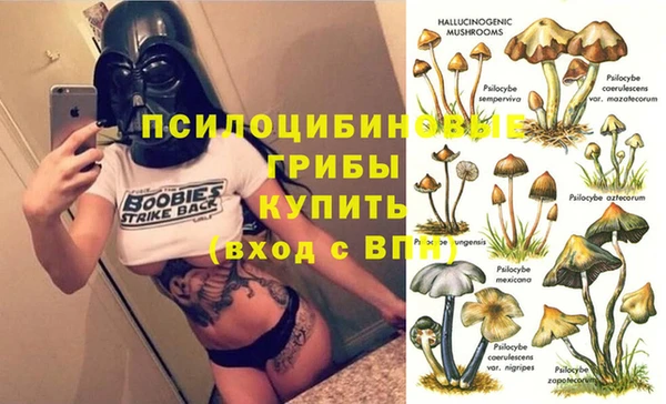 экстази Бородино