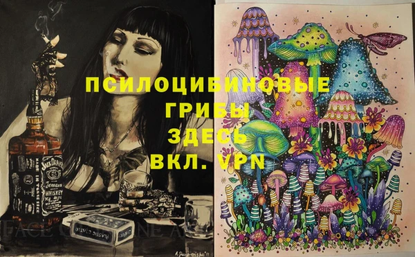 экстази Бородино