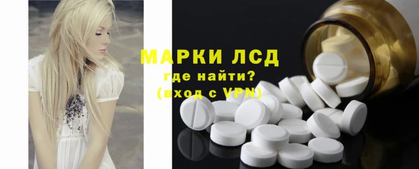 прущие грибы Бугульма