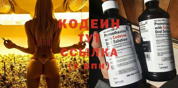 экстази Бородино