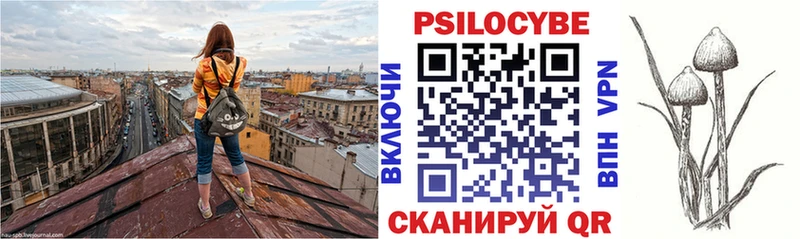 Псилоцибиновые грибы Magic Shrooms  Нестеров 